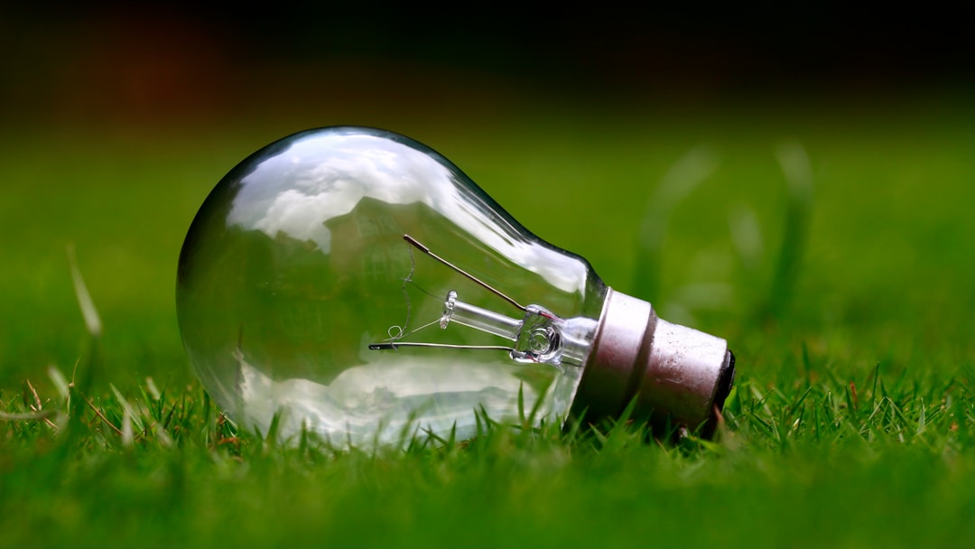 Photo Technology and sustainability: Startups
